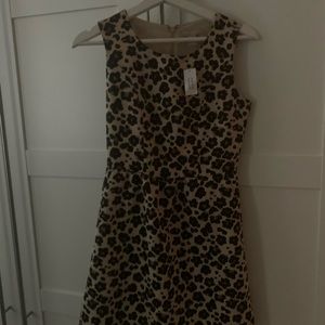 Cute Banana Republic Cheetah Print DressNEW W TAGS